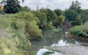 💥 LIMPIAR RÍO LERMA QUE CRUZA GUANAJUATO: UN PROYECTO AL…