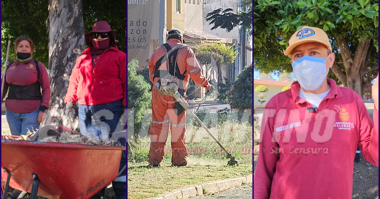 💥 ¡CON TODA LA ACTITUD! HOMBRES Y MUJERES DE PARQUES Y JARDINES TRABAJAN SIEMPRE PARA EMBELLECER A SALAMANCA