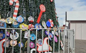 EN SALAMANCA, COLOCAN ESFERAS EN ÁRBOL DE NAVIDAD DEL CENTRO…