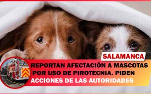 REPORTAN AFECTACIÓN A MASCOTAS POR USO DE PIROTECNIA. PIDEN ACCIONES…