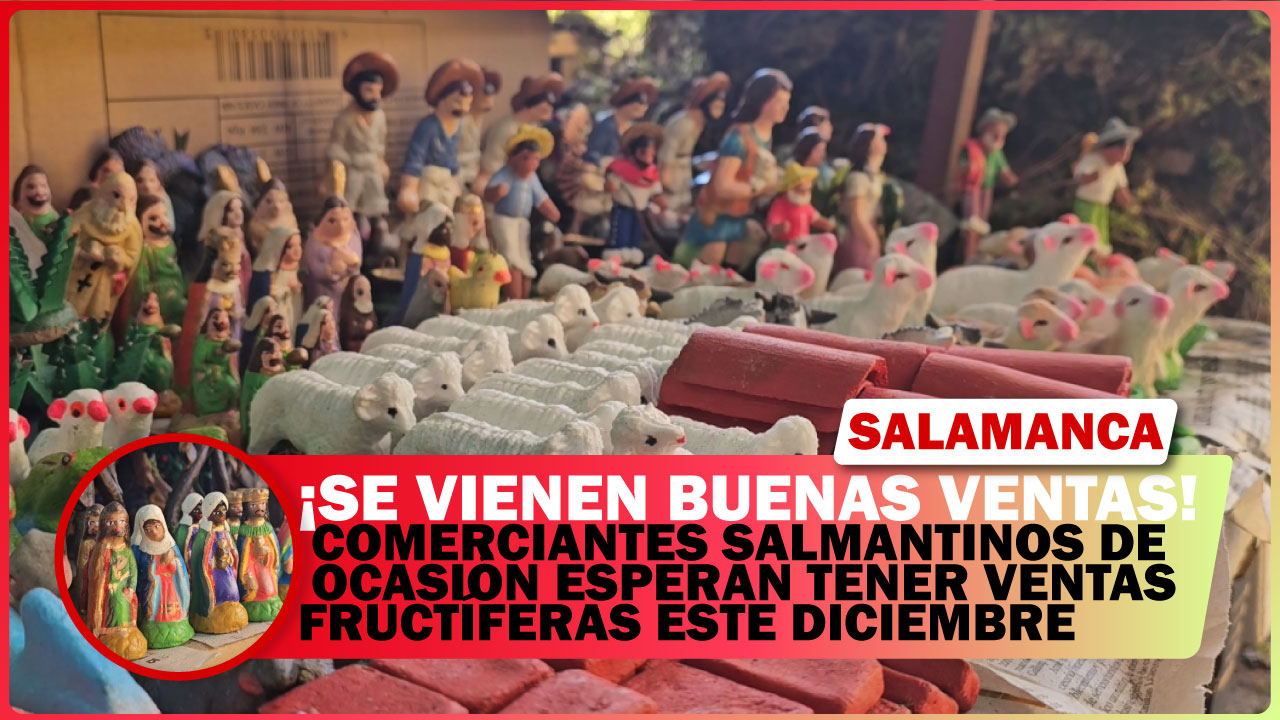 COMERCIANTES SALMANTINOS DE OCASIÓN ESPERAN TENER VENTAS FRUCTÍFERAS ESTE DICIEMBRE
