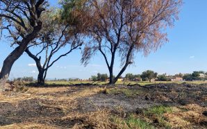 #Salamanca 💥 HABITANTES DE SANTIAGUILLO DE GARCÍA URGEN PRESENCIA DE…