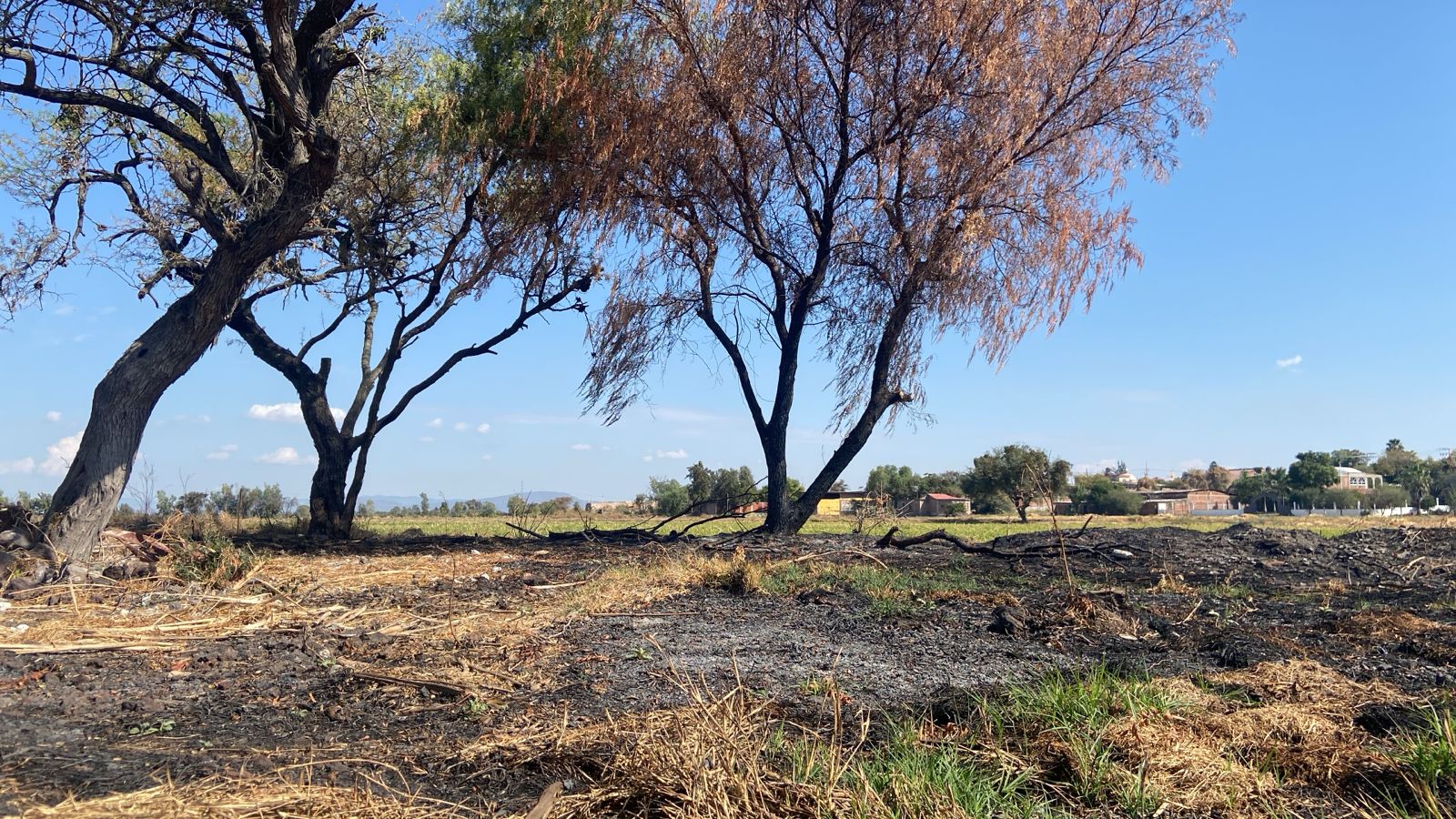 #Salamanca 💥 HABITANTES DE SANTIAGUILLO DE GARCÍA URGEN PRESENCIA DE LAS AUTORIDADES POR INCENDIOS PROVOCADOS; AFIRMAN ESTÁN DAÑANDO LOS MEZQUITES