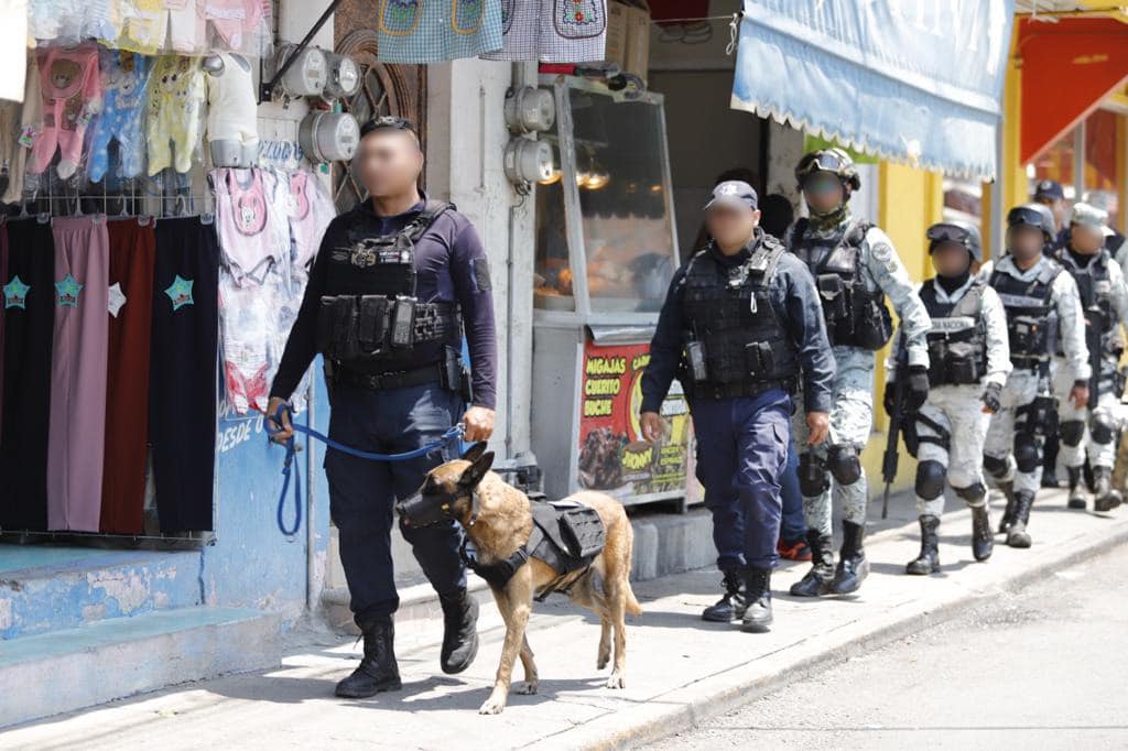 🔴🚨 POLICÍAS CANINOS REFUERZAN LA SEGURIDAD EN SALAMANCA