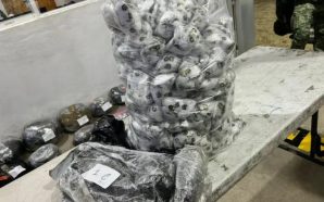 MÁS DE 270 KILOS DE DROGA FUERON ASEGURADAS EN SALAMANCA…