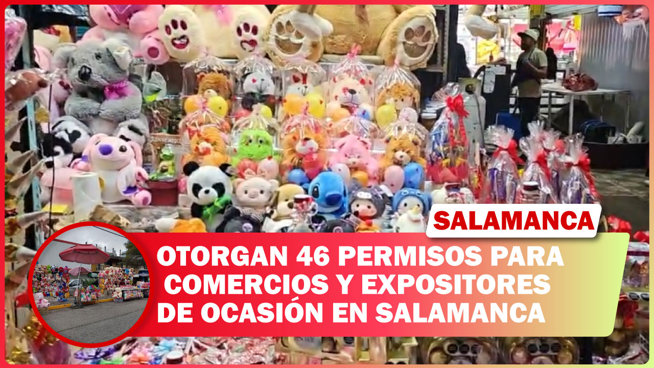 OTORGAN 46 PERMISOS PARA COMERCIOS Y EXPOSITORES DE OCASIÓN EN SALAMANCA