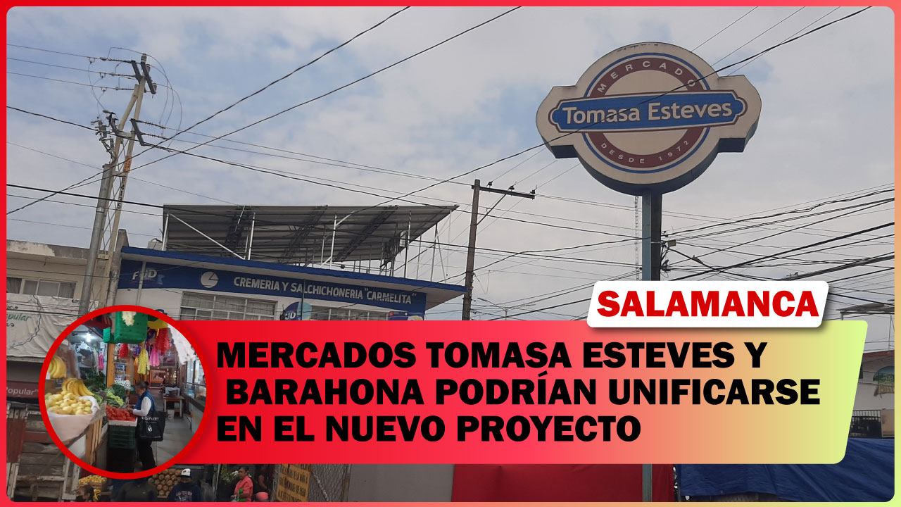 MERCADOS TOMASA ESTEVES Y BARAHONA PODRÍAN UNIFICARSE EN EL NUEVO PROYECTO