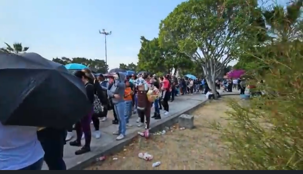 #Salamanca 🚨»YA NI LA ASOLEADA»: CAOS, DESORDEN Y FILAS INTERMINABLES EN ENTREGA DE LA TARJETA ROSA