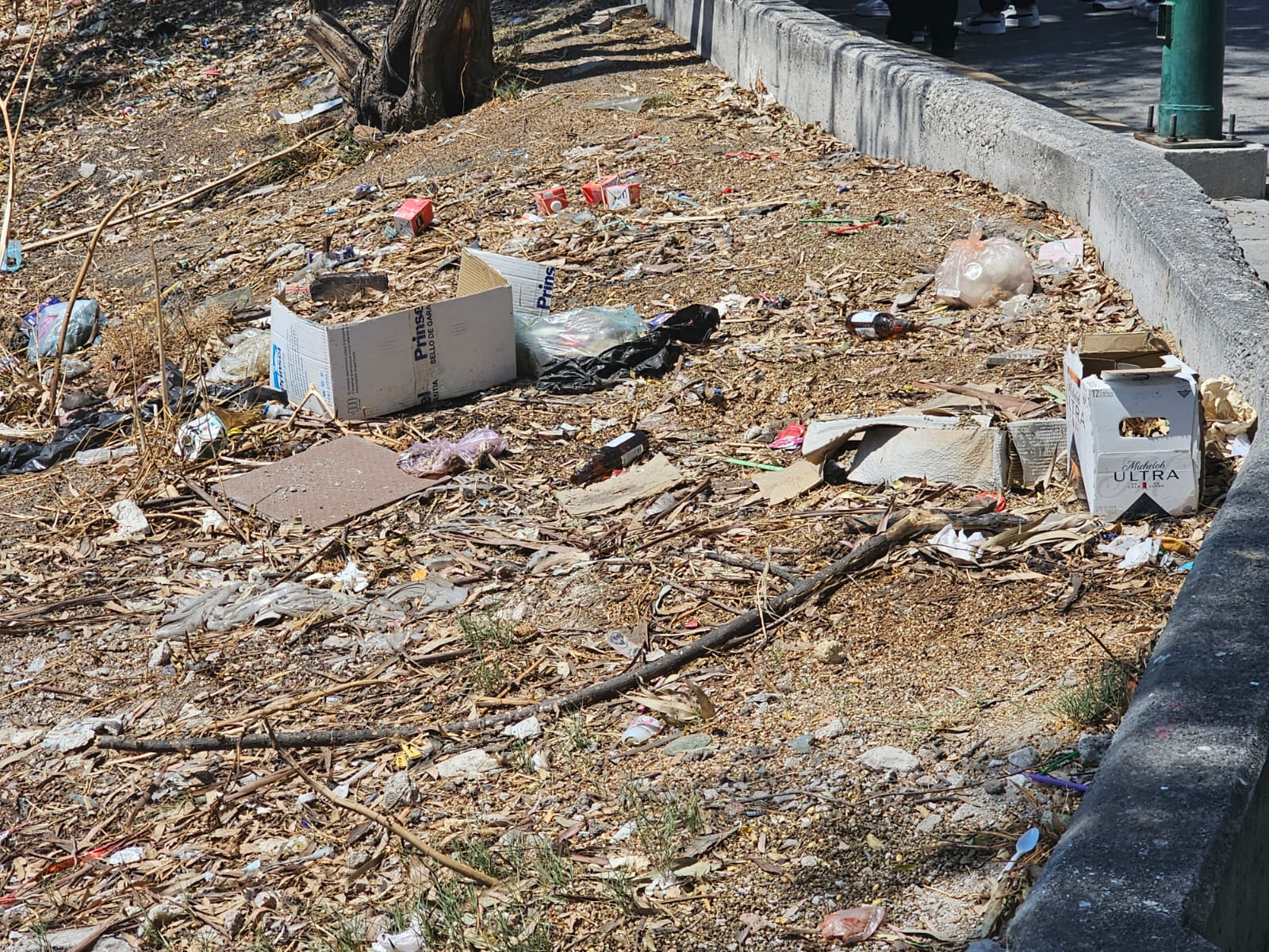 URGEN LIMPIEZA EN EL BORDO DEL RÍO LERMA; VECINOS TEMEN INCENDIOS POR BASURA DE TIANGUISTAS