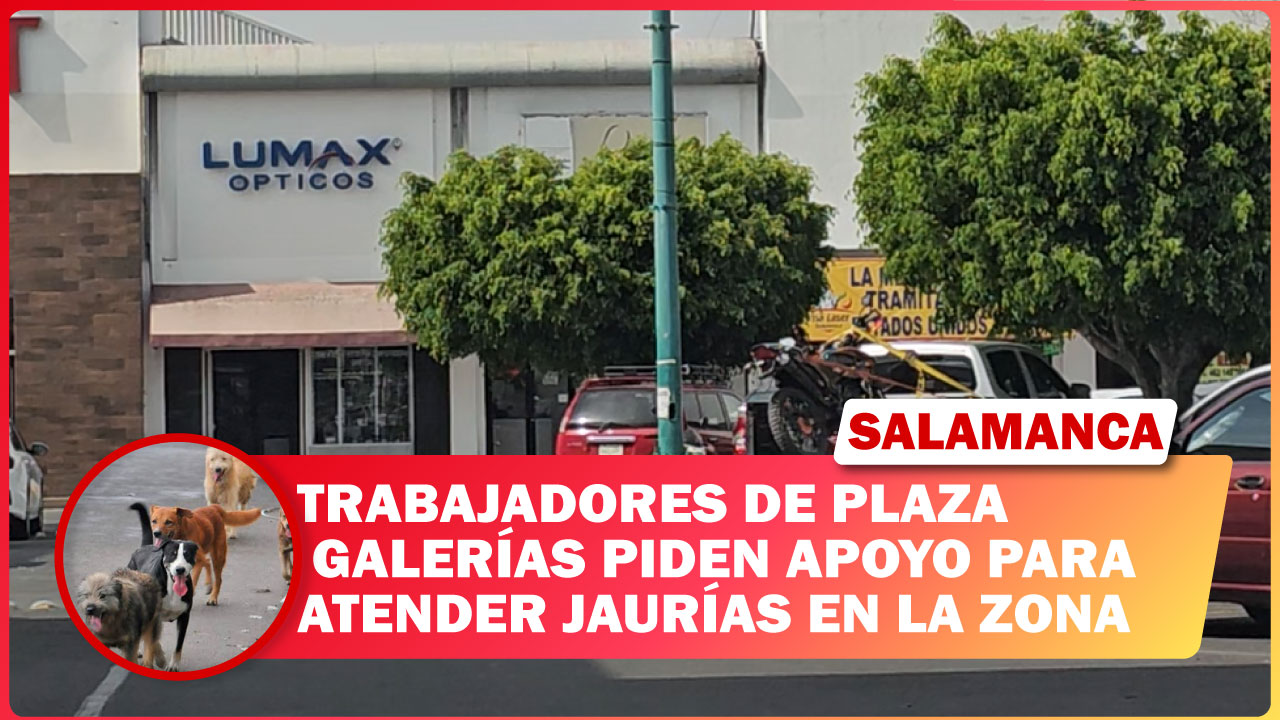 #Salamanca TRABAJADORES DE PLAZA GALERÍAS PIDEN APOYO PARA ATENDER JAURÍAS EN LA ZONA