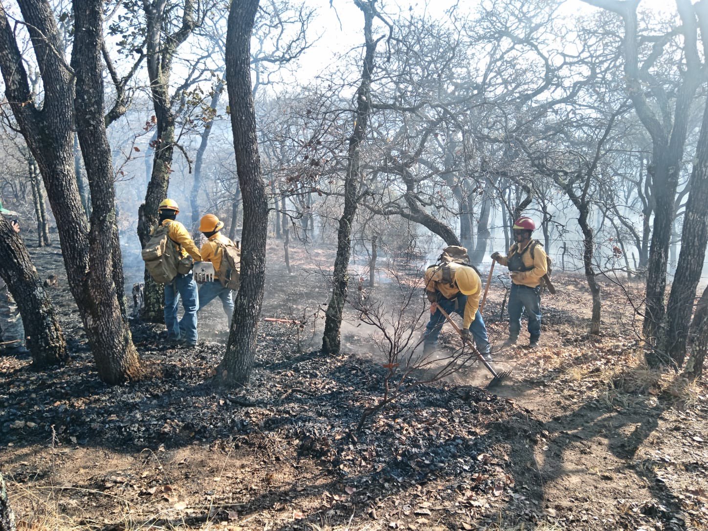 #Estatal INCENDIOS EN SIERRA DE LOBOS Y SANTA ROSA DE LIMA CONTROLADOS HASTA EN UN 90%