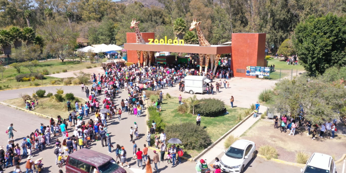 #León INVERSIONES CUESTIONADAS: 3.5 MILLONES PARA UNA ESCULTURA EN EL ZOOLÓGICO
