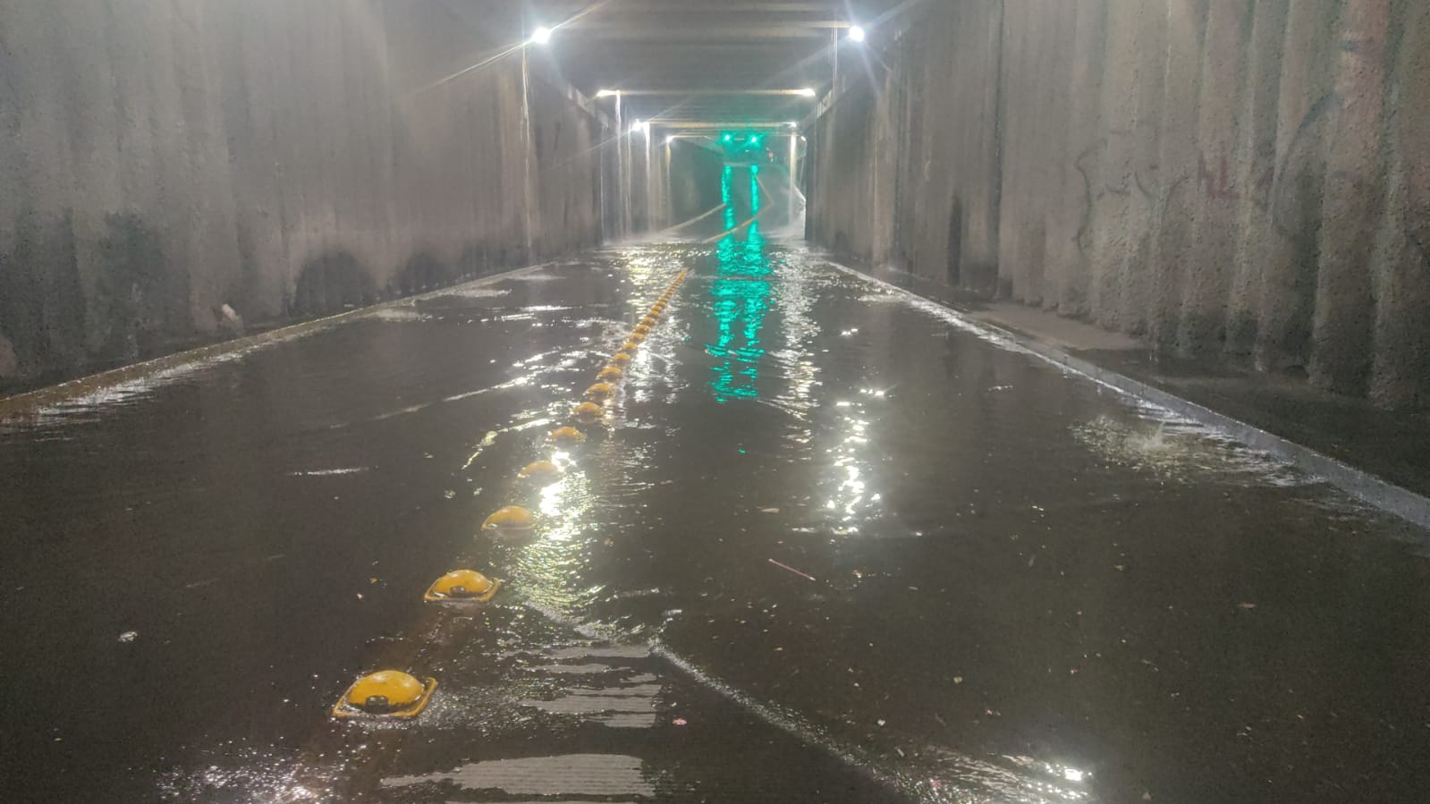 🌧️ ⚡️ #Salamanca FUERTES LLUVIAS DEJAN DAÑOS EN COLONIAS; CAÍDA DE ÁRBOLES Y ENCHARCAMIENTOS ENTRE LOS PRINCIPALES ESTRAGOS
