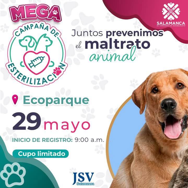MEGA CAMPAÑA DE ESTERILIZACIÓN GRATUITA EN SALAMANCA  