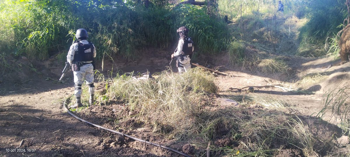 #Villagrán FUERZAS FEDERALES OPERAN EN LA CIUDAD DE MANERA INDEPENDIENTE, ACLARA LA ALCALDESA