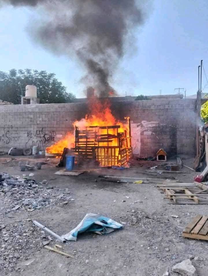 DETIENIDOS DOS SUJETOS POR INCENDIAR TEJABÁN Y CALCINAR CACHORROS EN SALTILLO