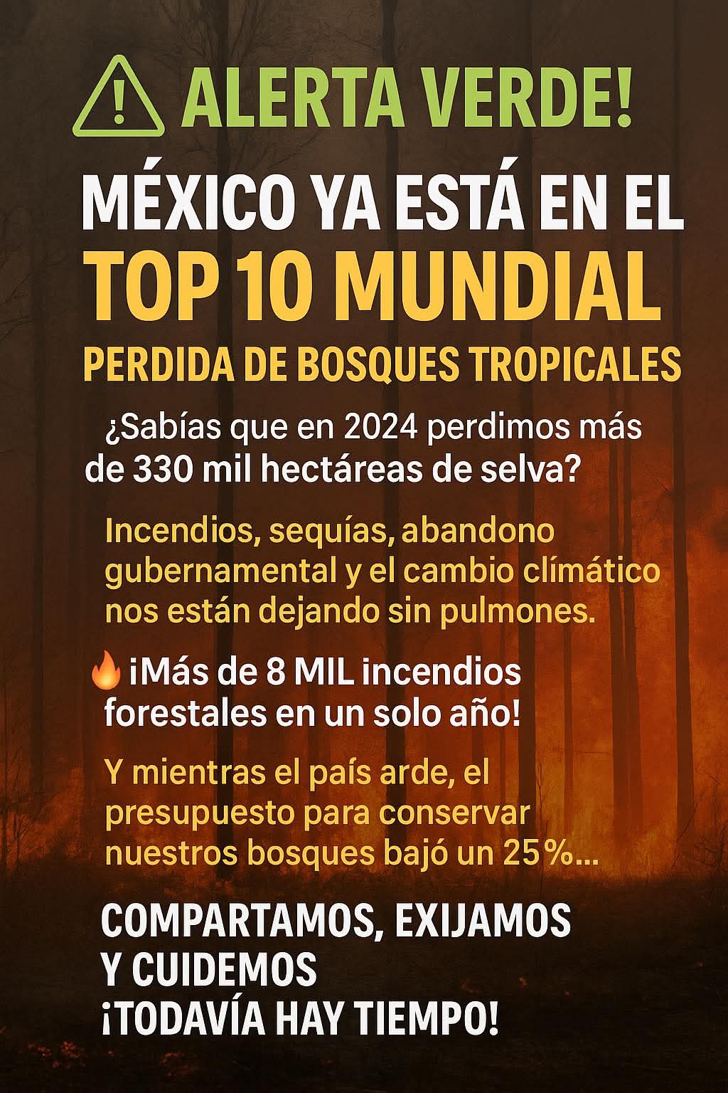 MÉXICO ENTRE LOS 10 PAÍSES CON MAYOR PÉRDIDA DE BOSQUES TROPICALES PRIMARIOS