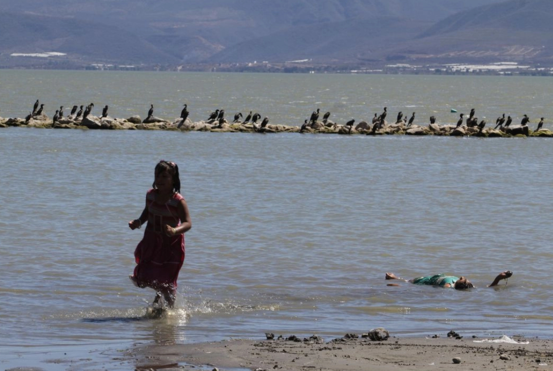 #Biósfera Sociedad civil del Bajío Guanajuatense denota perdida de su nivel de conciencia ambiental
