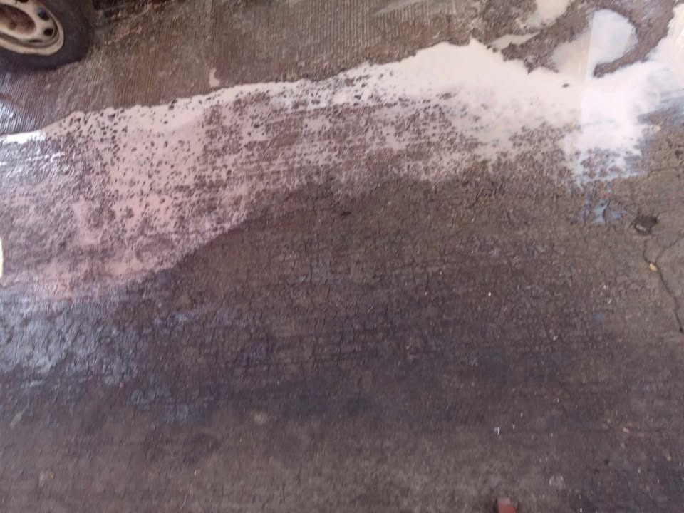 #Salamanca REPORTAN A COMERCIANTES QUE ARROJAN AGUA SUCIA SOBRE LAS BANQUETAS DEL MERCADO