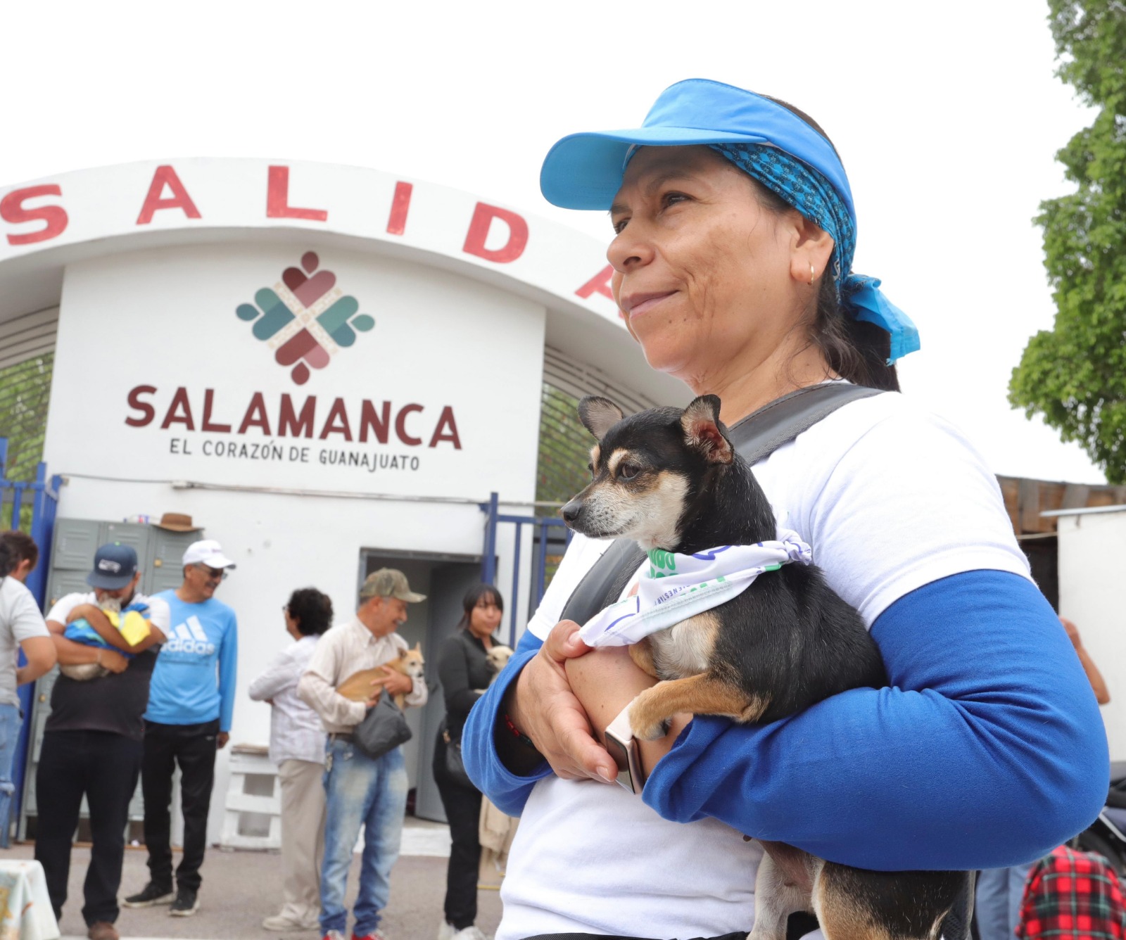 #Salamanca ESTERILIZAN A 270 MASCOTAS EN MEGACAMPAÑA DE BIENESTAR ANIMAL