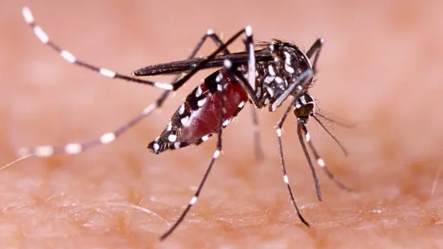 #Estado 💥 PESE AL CLIMA FRÍO, EL DENGUE SE EXPANDE EN GUANAJUATO