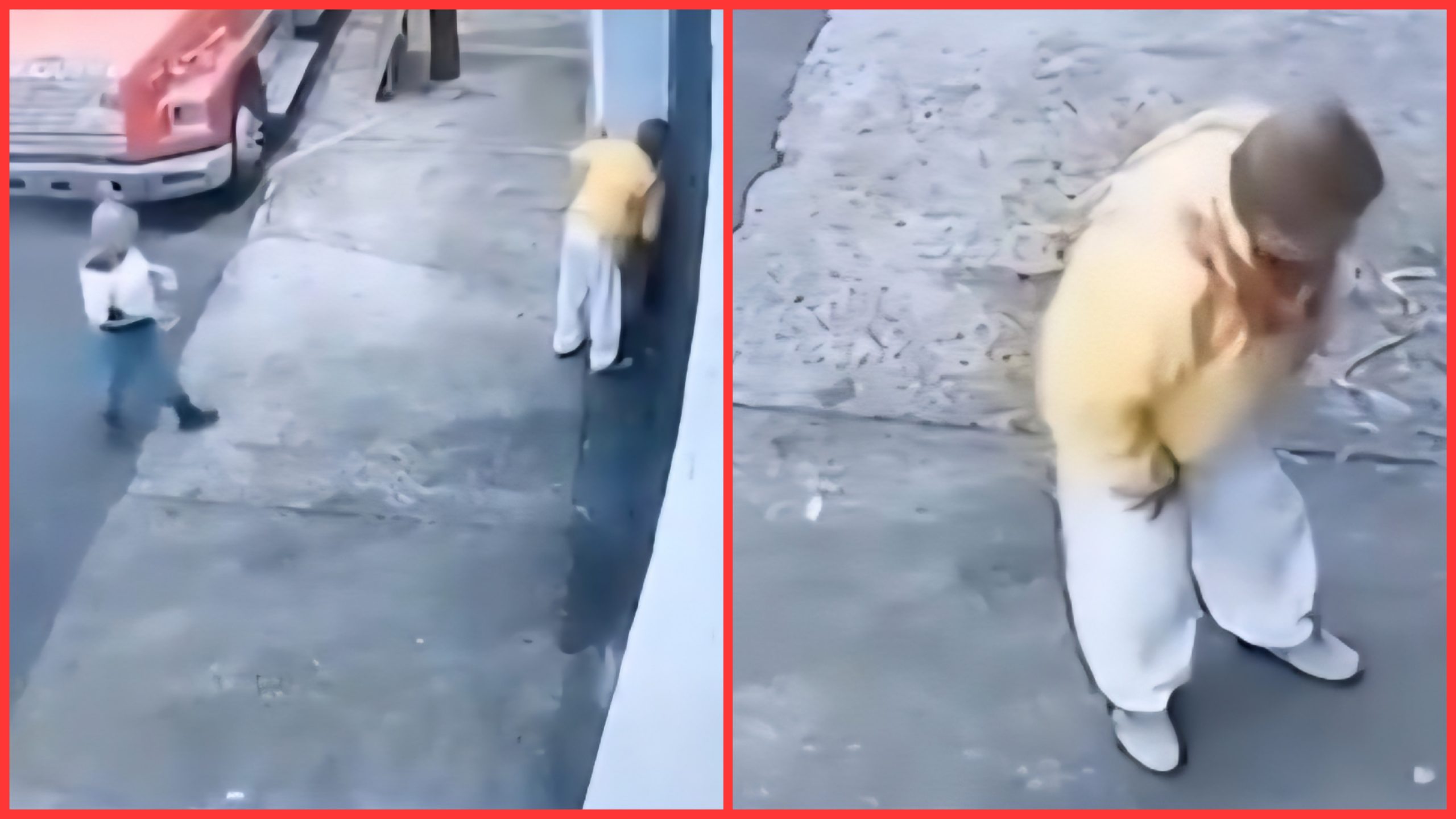 💥 Crimen sin voz: envenenan a gatitos en estado vulnerable y todo queda grabado