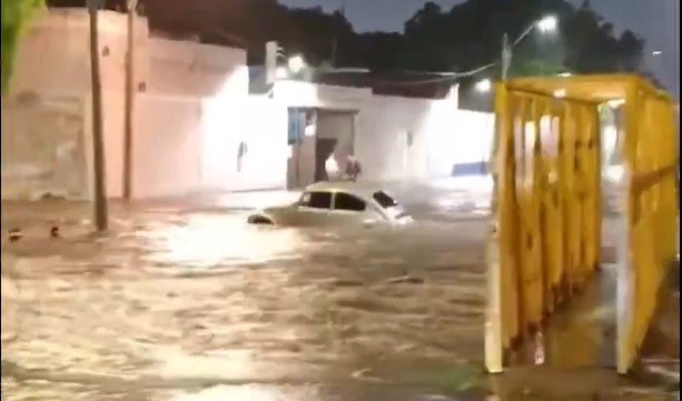 #León CIUDADANOS RESCATAN A UN VOCHO DE SER ARRASTRADO POR LA CORRIENTE EN LA COLONIA LEÓN I