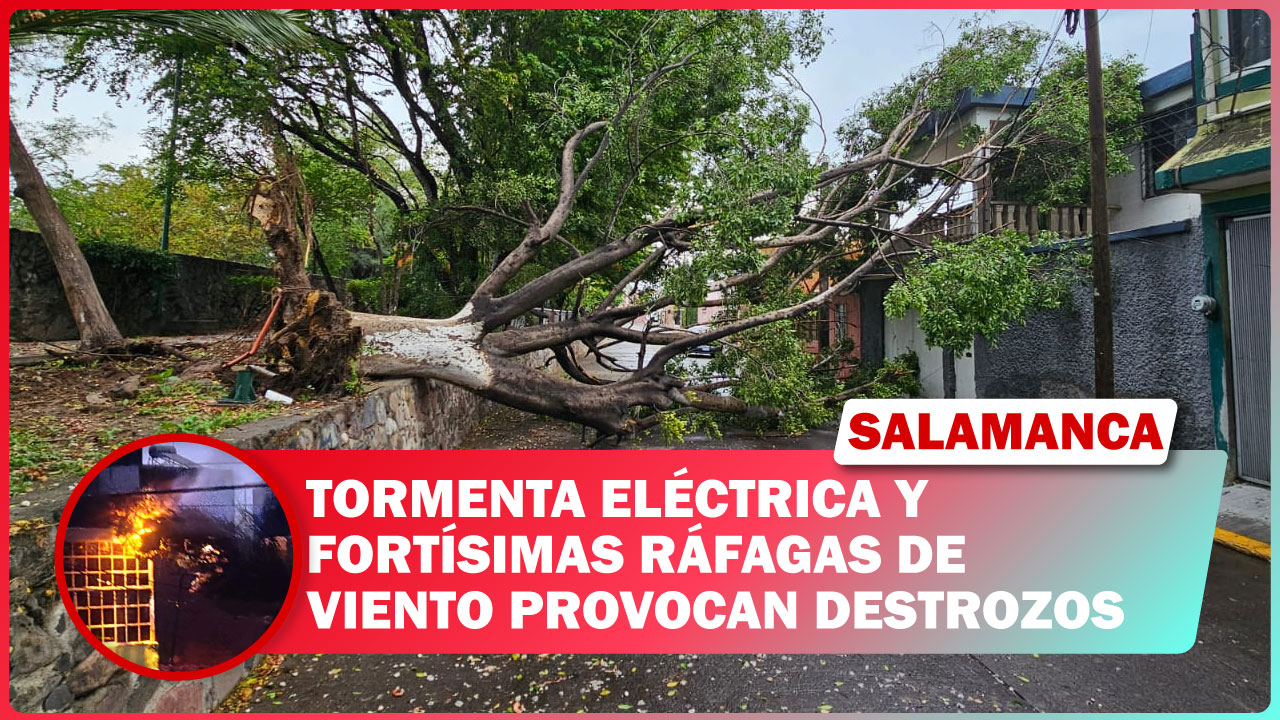 TORMENTA ELÉCTRICA Y FORTÍSIMAS RÁFAGAS DE VIENTO PROVOCAN DESTROZOS EN SALAMANCA