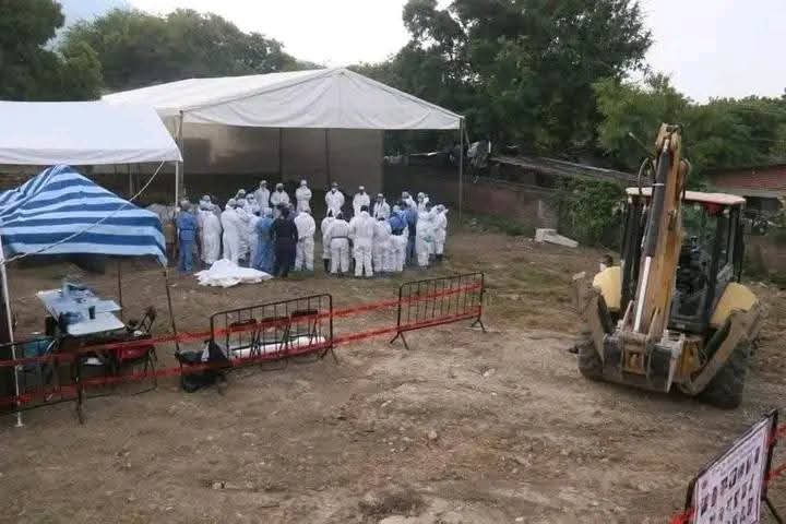 #Nacional Hallazgo en Jojutla revela fosa con más de 60 cuerpos, entre ellos al menos 10 bebés