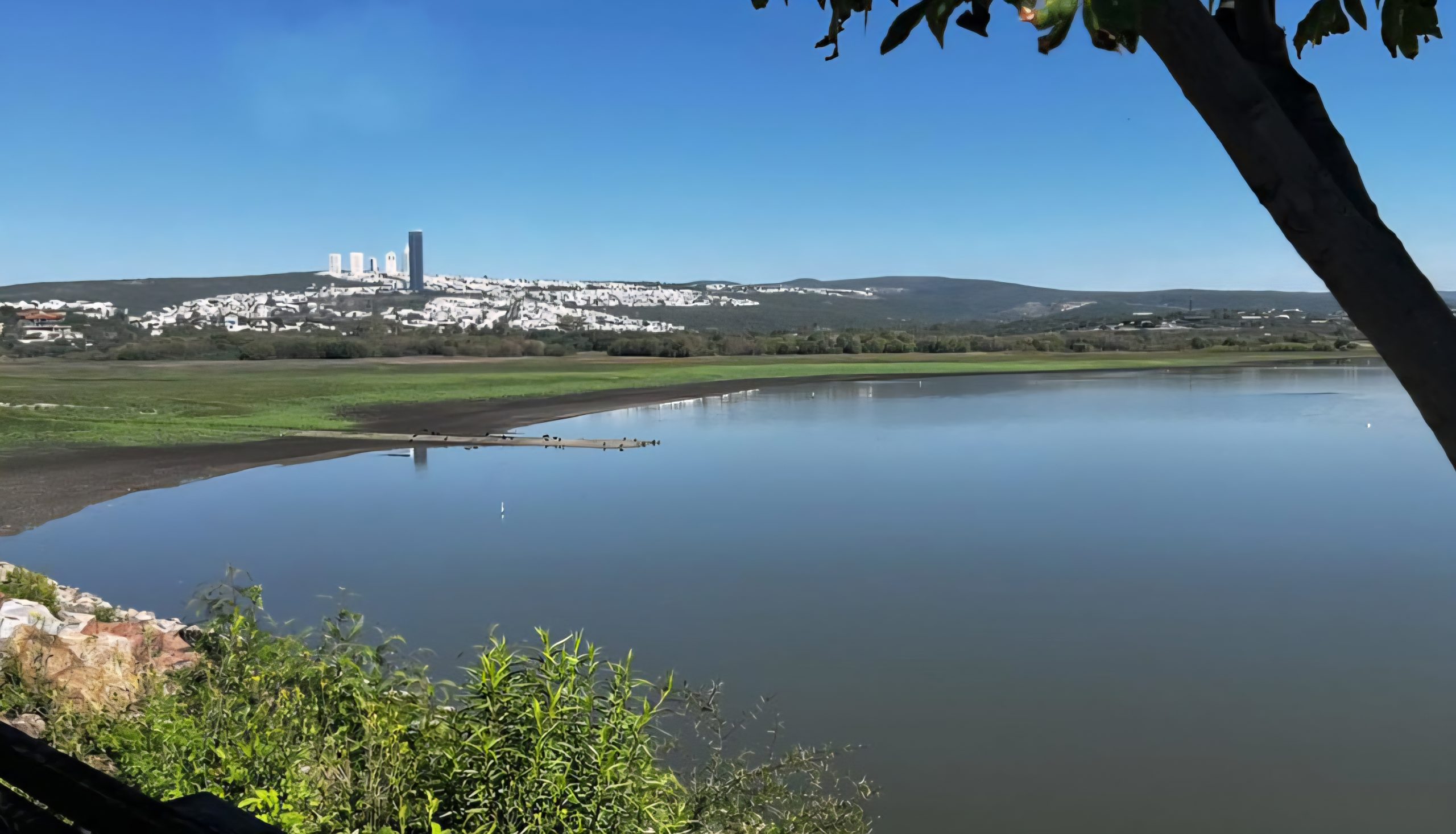 💥 DESPUÉS DE LA SEQUÍA, EL CAMPO GUANAJUATENSE VUELVE A RESPIRAR CON LAS LLUVIAS