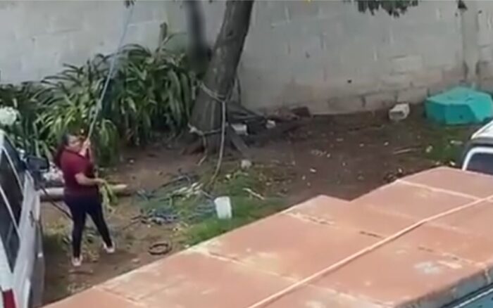 #Nacional IDENTIFICAN A MUJER QUE COLGÓ A UN PERRITO EN UN ÁRBOL EN HIDALGO