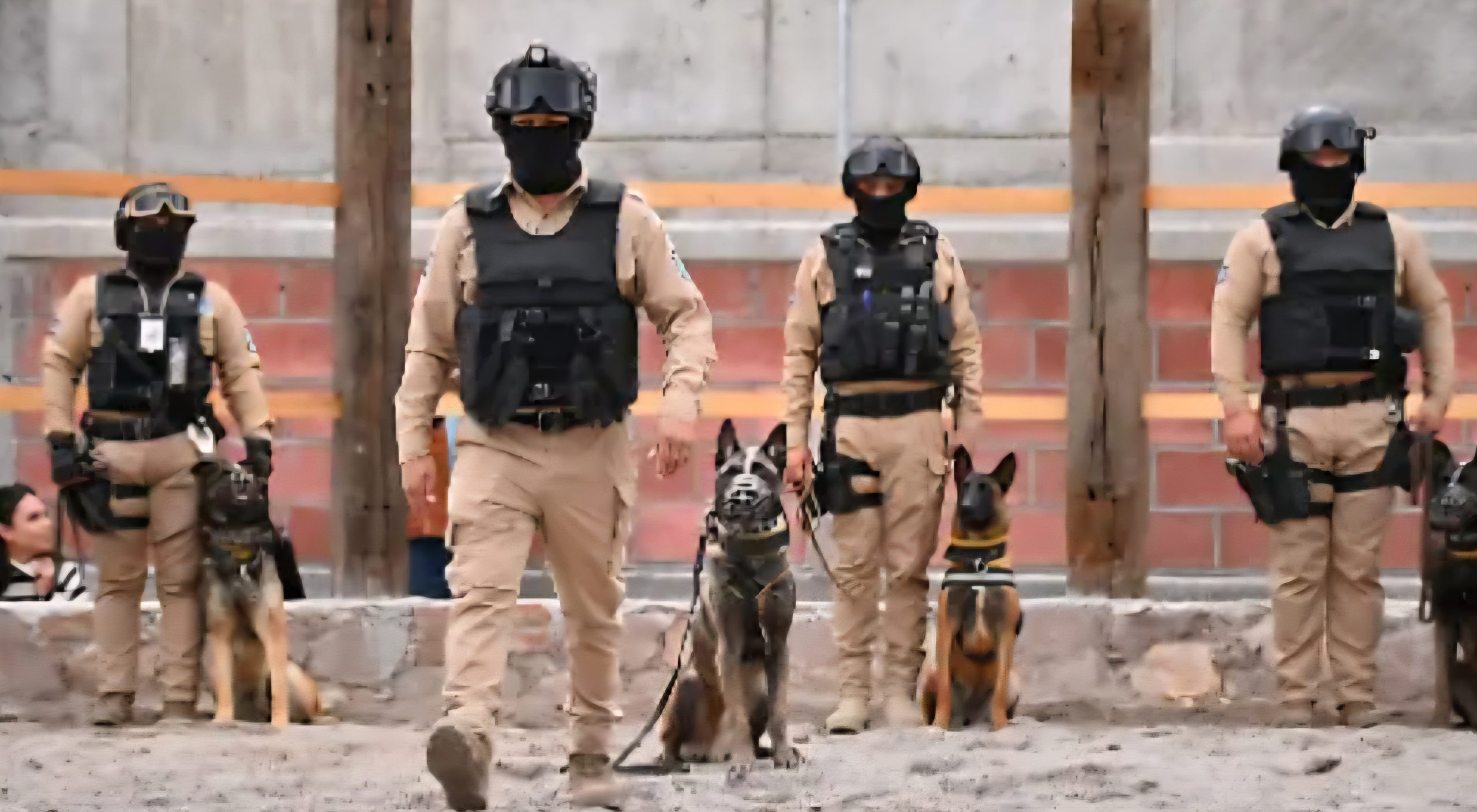 Habrá más bajas en las policías de Guanajuato por nexos con el crimen organizado