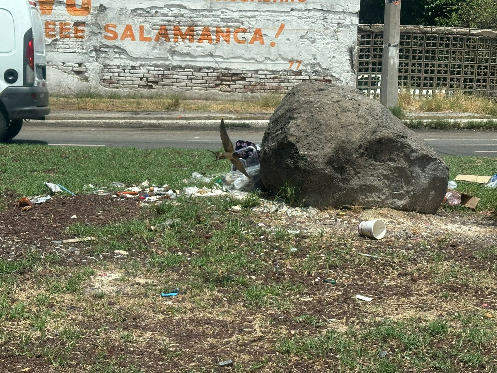 #Salamanca CAMELLÓN DE LA CALLE SOL VUELVE A LLENARSE DE BASURA PESE A ESFUERZOS DEL PERSONAL DE LIMPIA