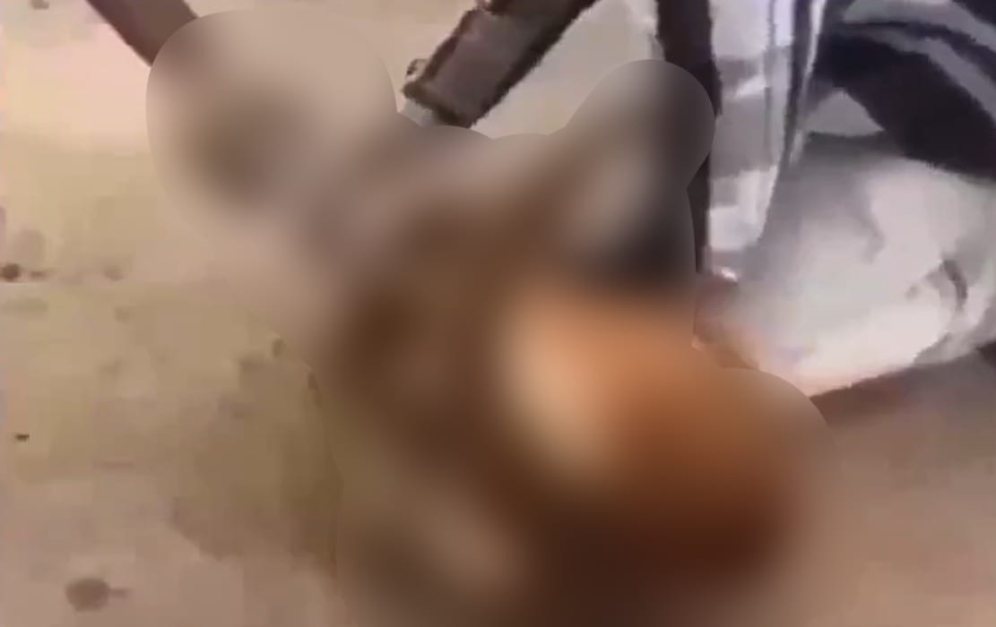 #Nacional #Jalisco DOS SUJETOS OBLIGAN A PERRITO A BEBER ALCOHOL TRAS SOMETERLO CON VIOLENCIA