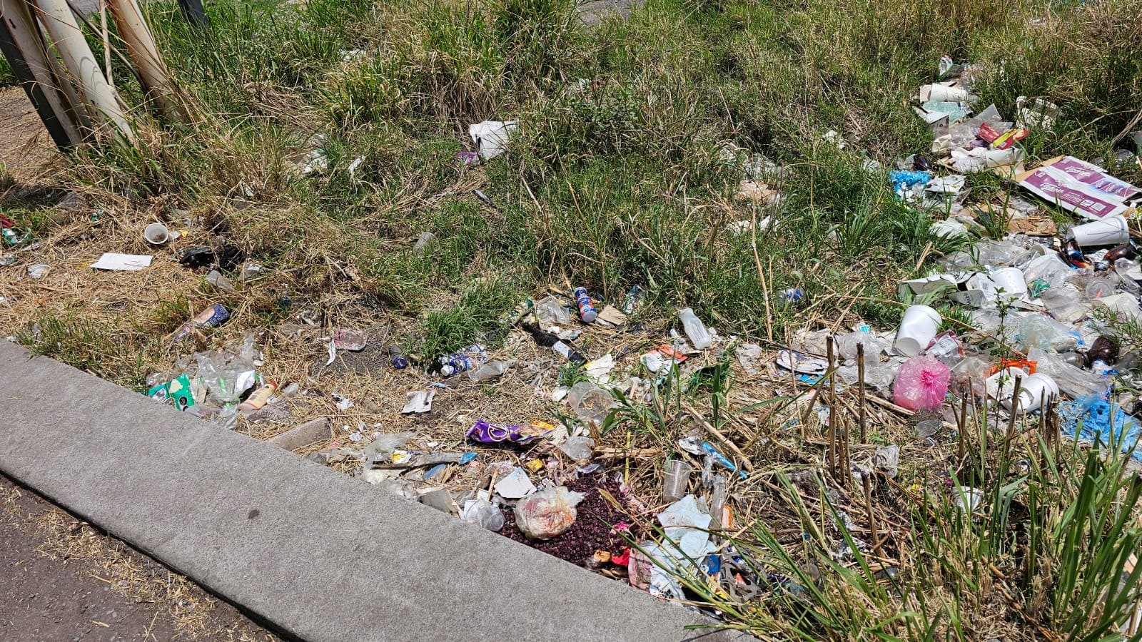 #Salamanca LATERALES DEL PUENTE DE VALTIERRILLA, UN TIRADERO CLANDESTINO DE BASURA