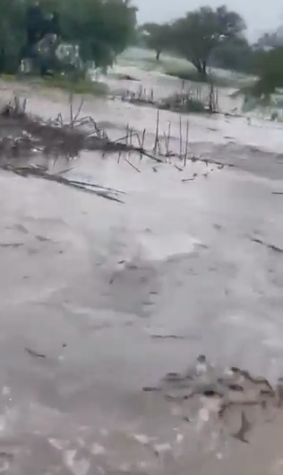 #Estatal FUERTES LLUVIAS CONVIERTEN CARRETERA EN RÍO