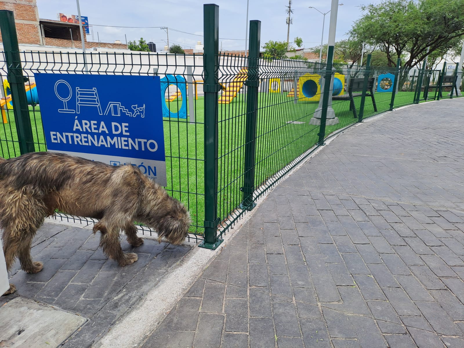 💥 Alta afluencia marca apertura del nuevo hospital veterinario en León