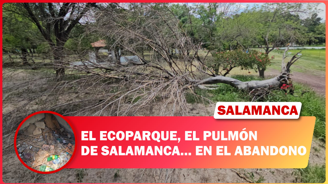 El Ecoparque, el pulmón de Salamanca… en el abandono