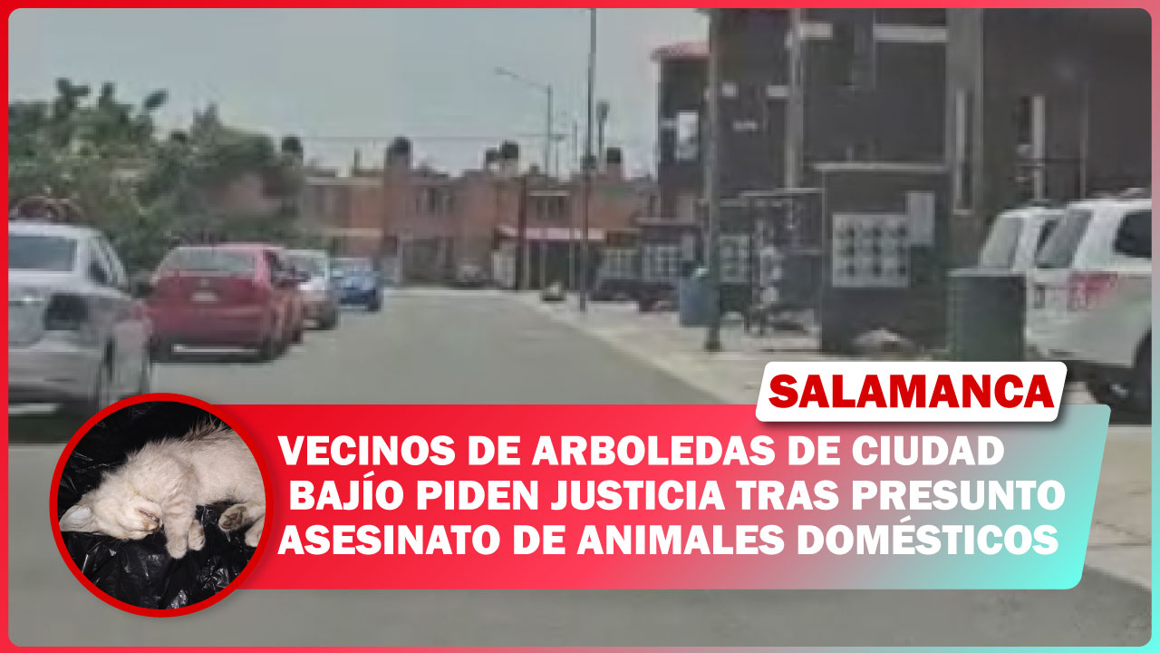#Salamanca Vecinos de Arboledas de Ciudad Bajío piden justicia tras presunto asesinato de animales domésticos