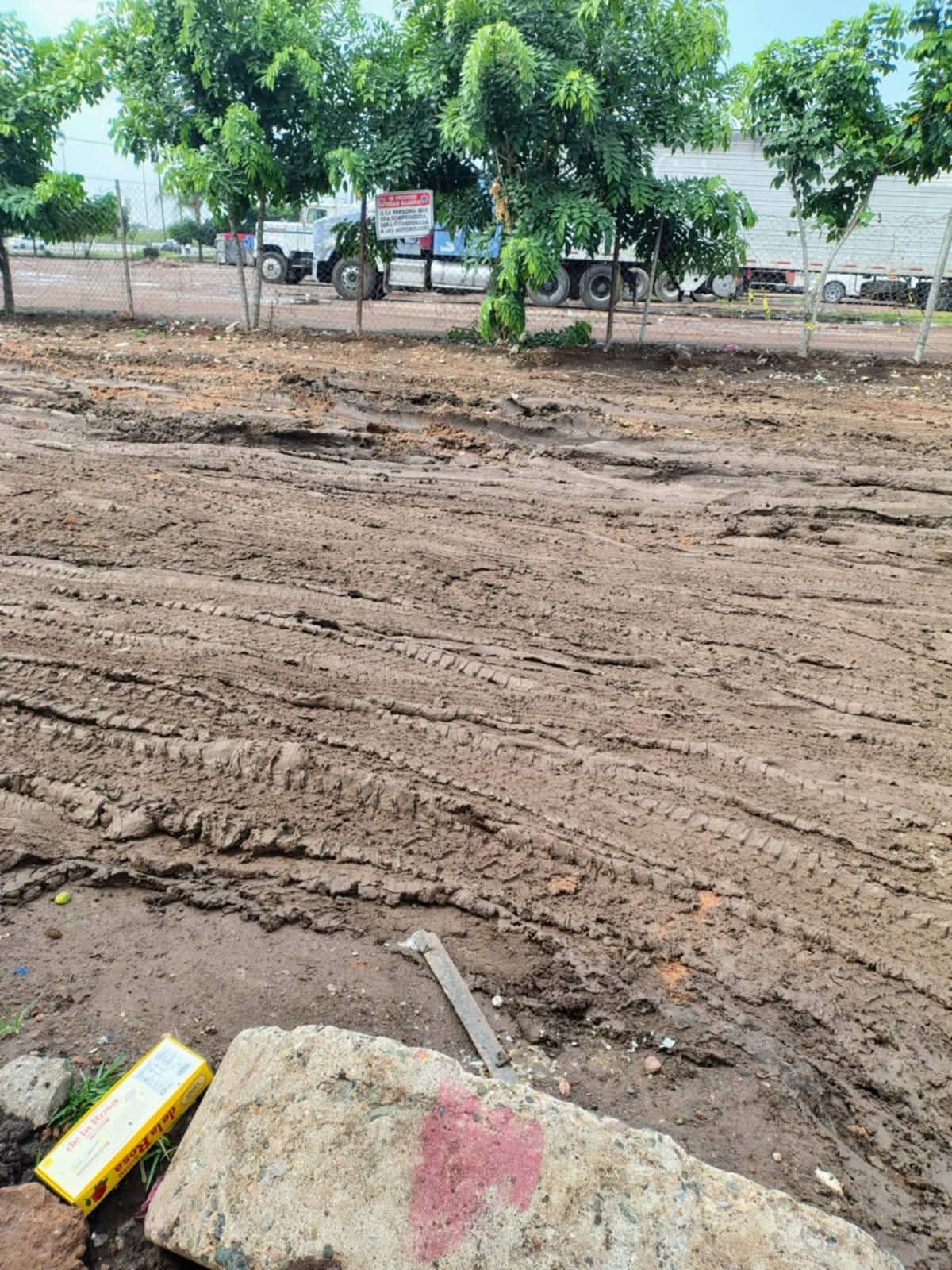 #Irapuato Tras las lluvias, obra mal hecha convierte calle de Los Fresnos en un verdadero chiquero