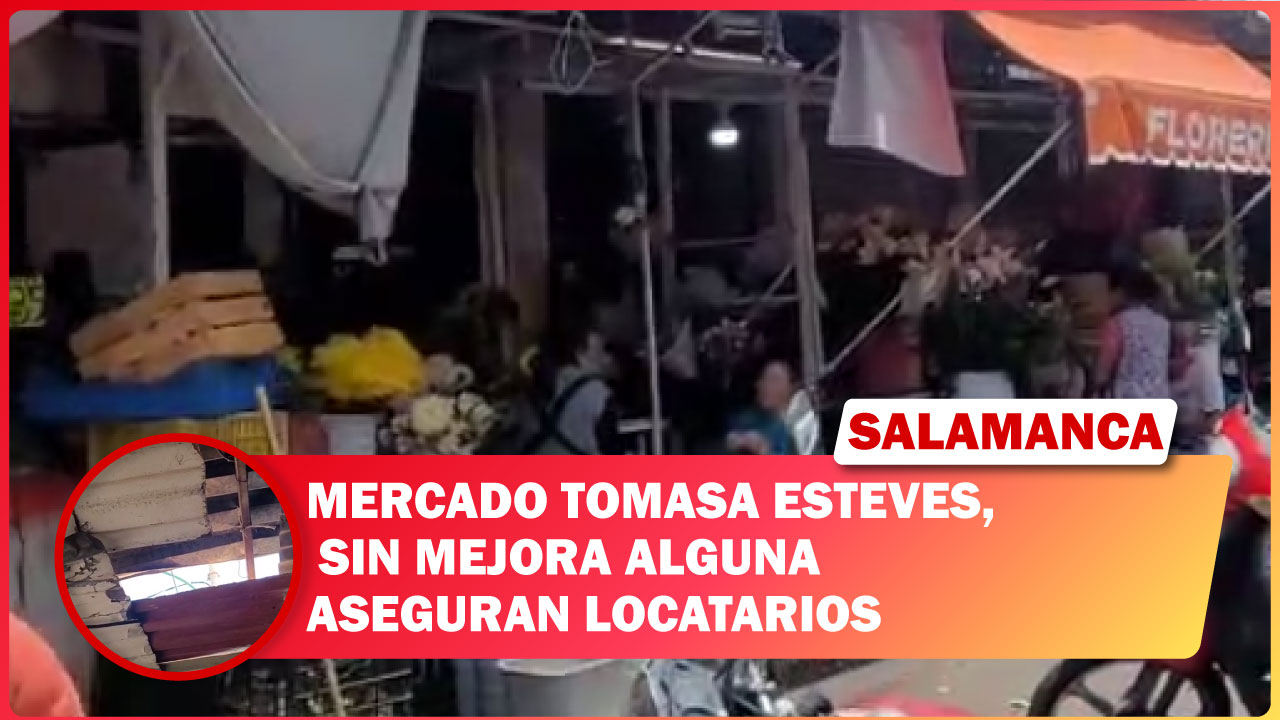 Mercado Tomasa Esteves, sin mejora alguna aseguran locatarios