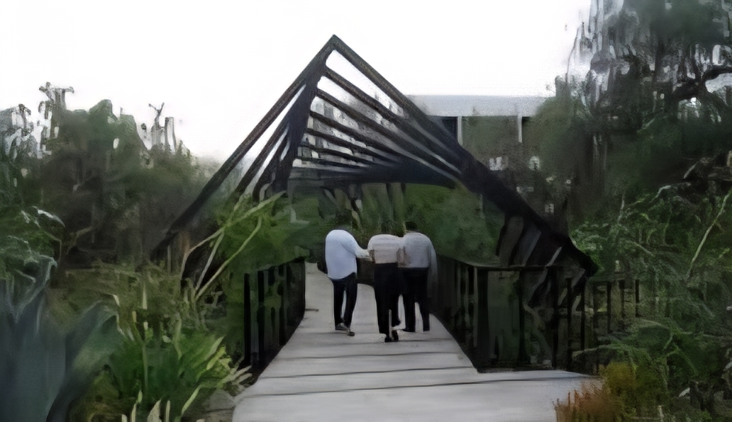 💥 Hotel Live Aqua, en San Miguel de Allende, bajo la lupa. Obras ecológicas y patrimoniales invaden zona federal