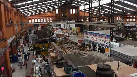 💥 Celaya retira a ambulantes y regulariza mercados para imponer orden