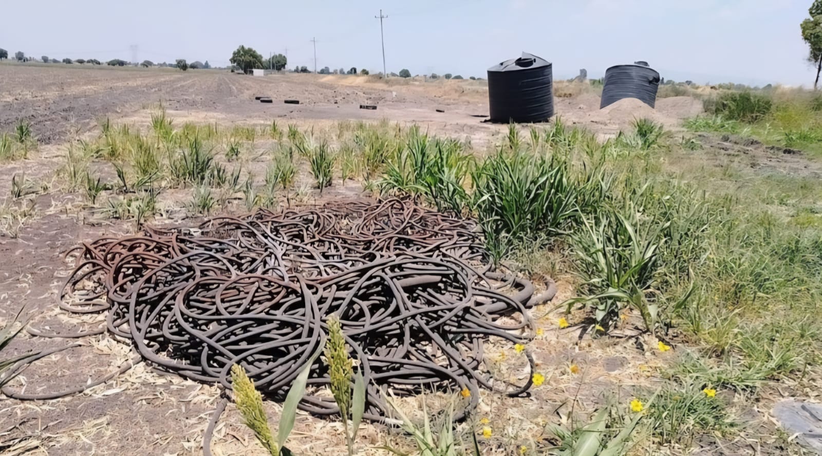 Harfuch confirma investigación por toma clandestina en Xonotli, Guanajuato