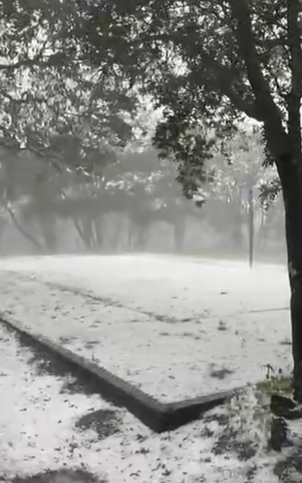 Tormenta y granizada sorprenden en la León-San Felipe, cerca de la Sierra de Lobos