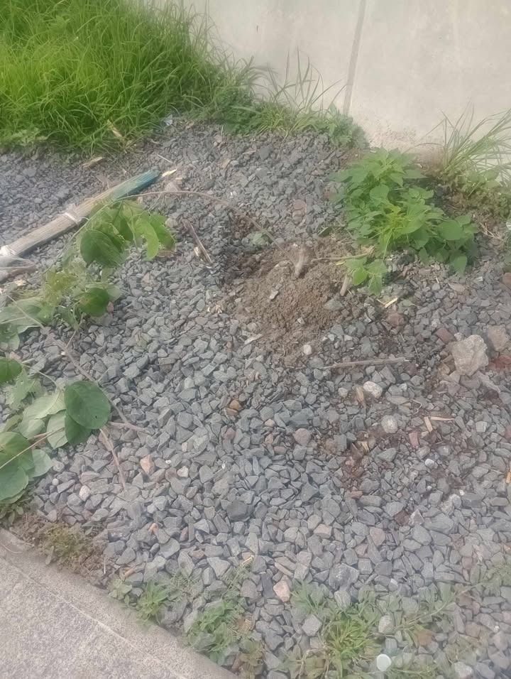 #Salamanca Trabajadores de tienda de autoservicio reportan a ciudadanos por no respetar la flora de la zona
