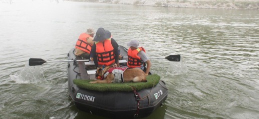 #Estatal Perros rescatistas de Guanajuato acuden a Texas para apoyar en labores tras desastre natural
