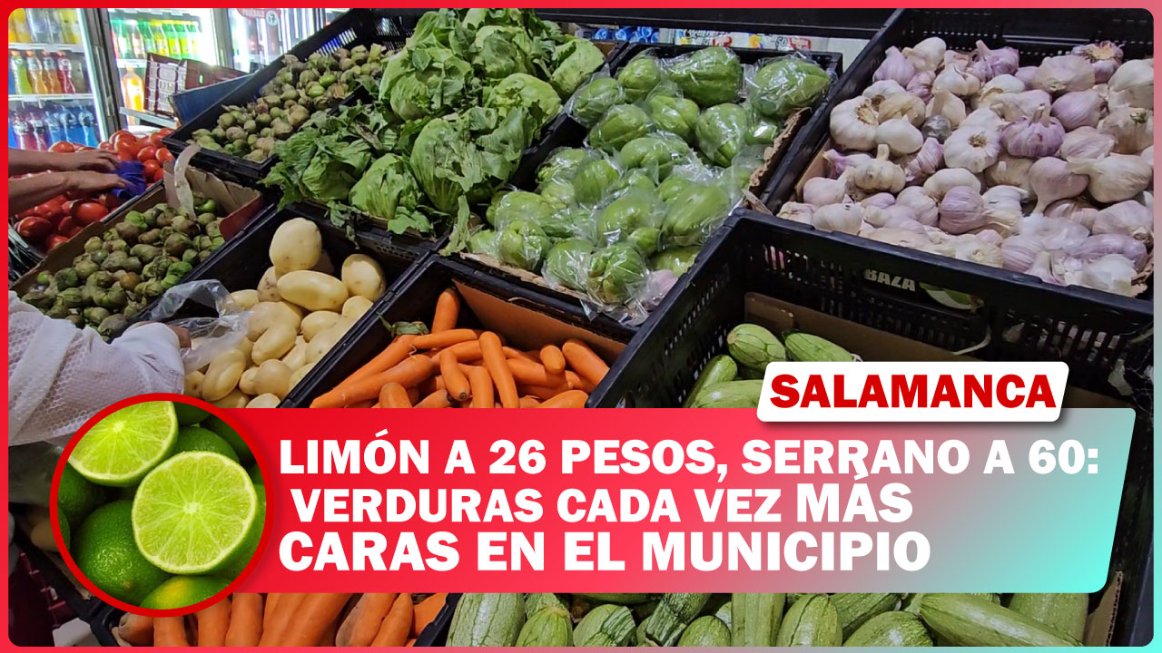💥 Limón a 26 pesos, serrano a 60: verduras cada vez más caras en Salamanca