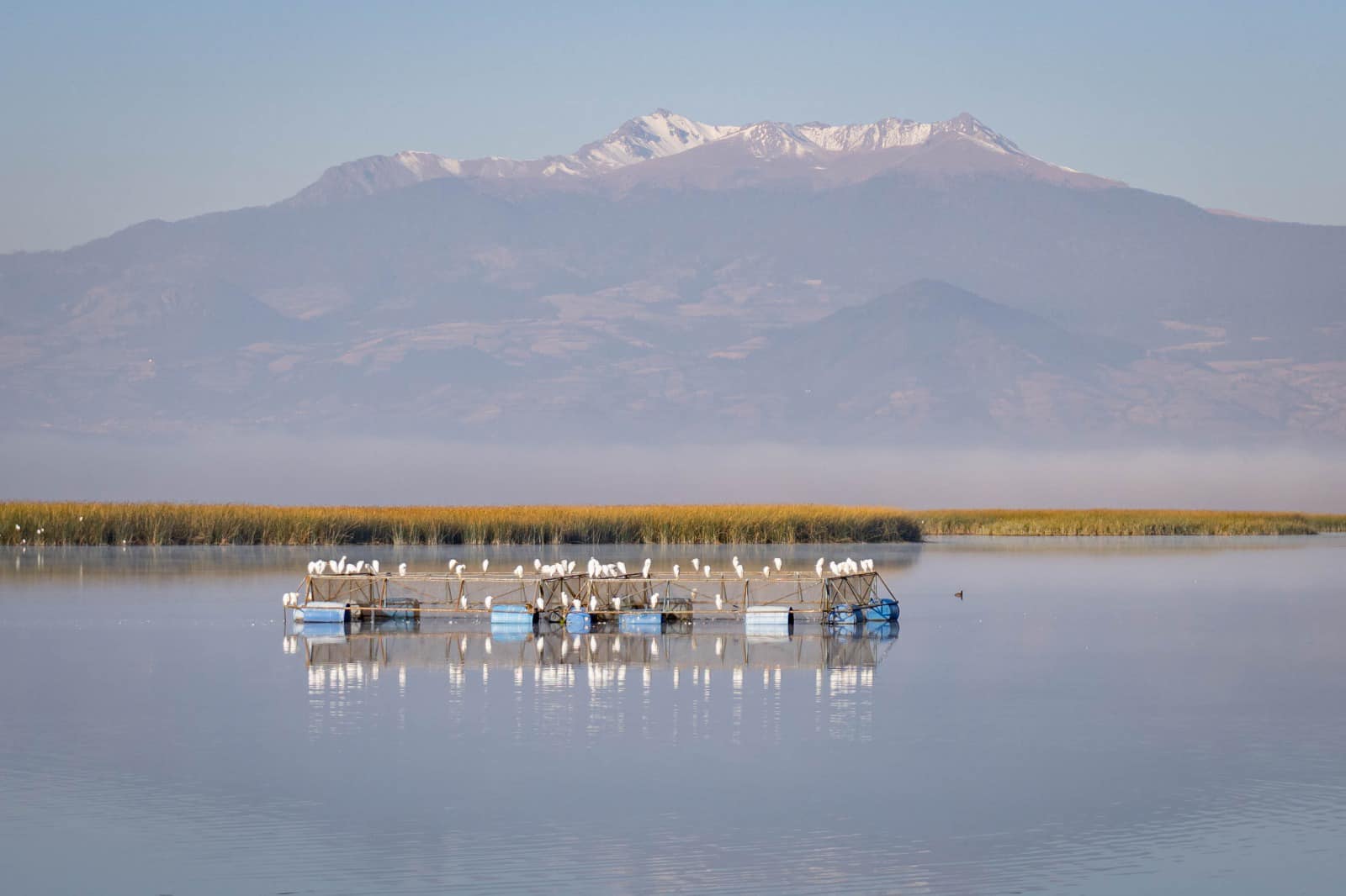 El Gobierno Federal busca sumar esfuerzos para sanear el Río Lerma y avanzar en el acueducto León-Solís