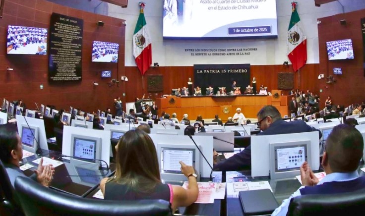 #Urgente 🚨 Senadores de MORENA aprueban “Ley Amparo” para proteger a ciudadanos de abusos del gobierno